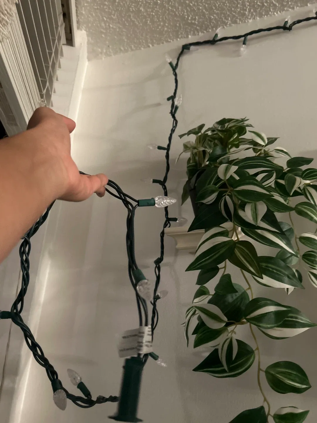 Christmas lights - Warm White image indicator(2)