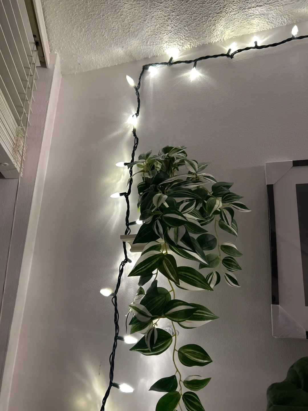 Christmas lights - Warm White image indicator(4)