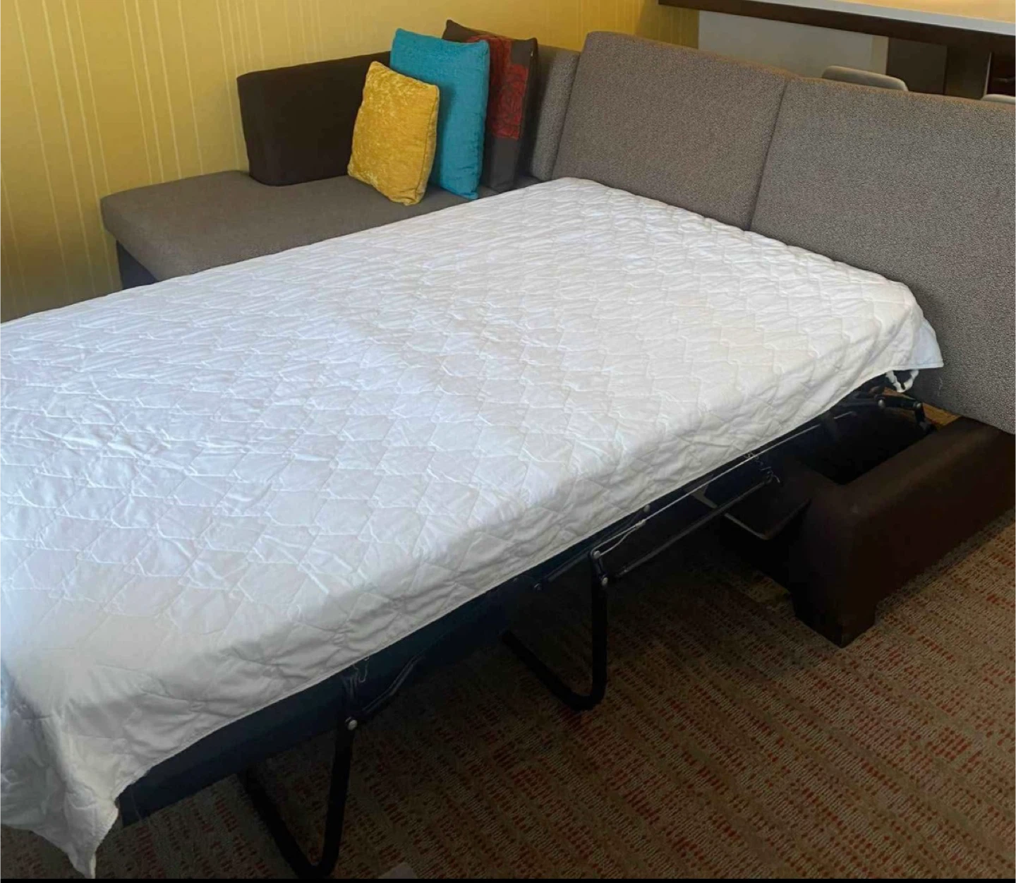 Pull-Out Sectional Sofa Bed - photo 2