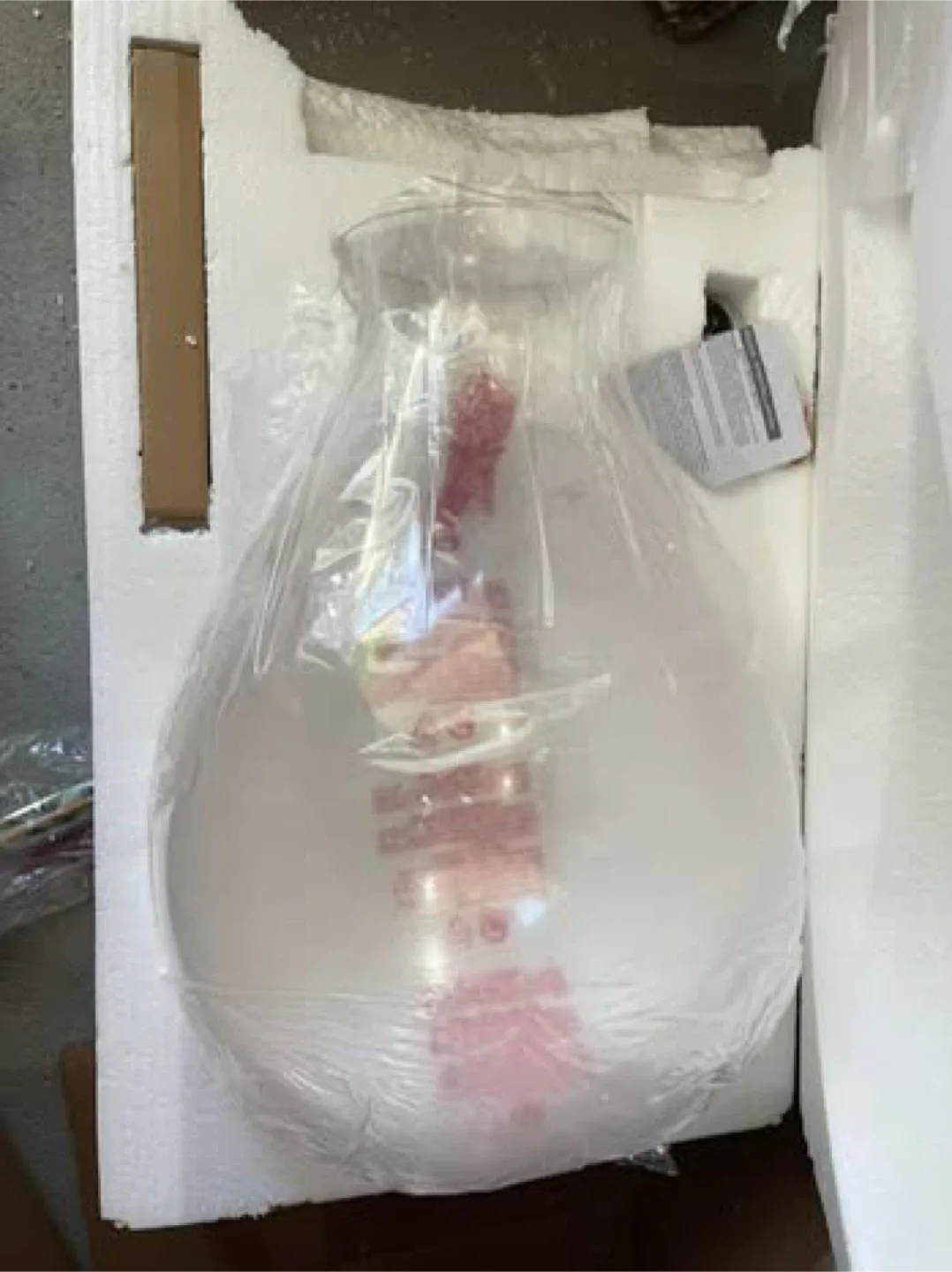 Joss & Main Mario 1-Light Teardrop Pendant - New image indicator(6)