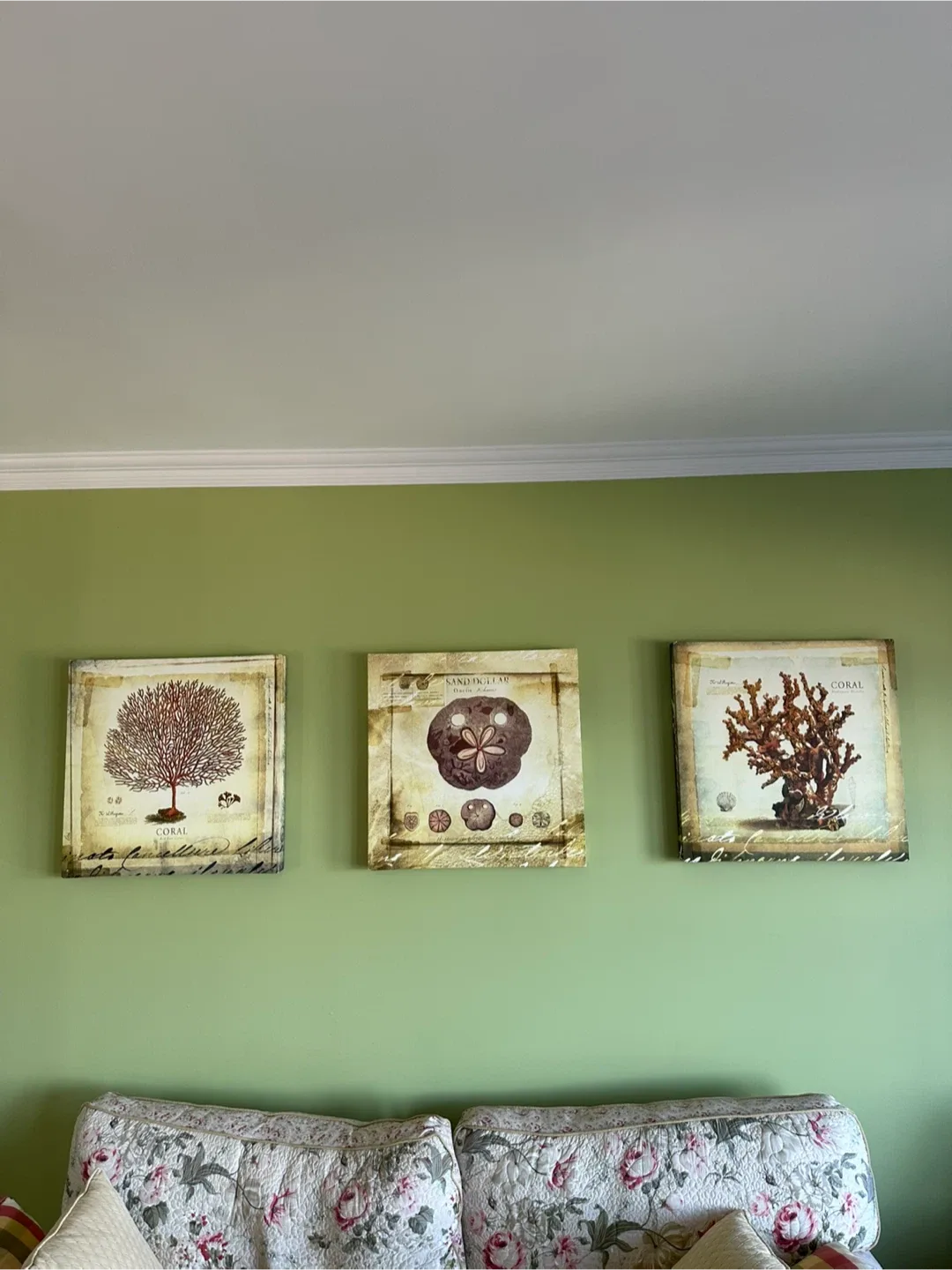 Set of 3 Coral Wall Art Prints