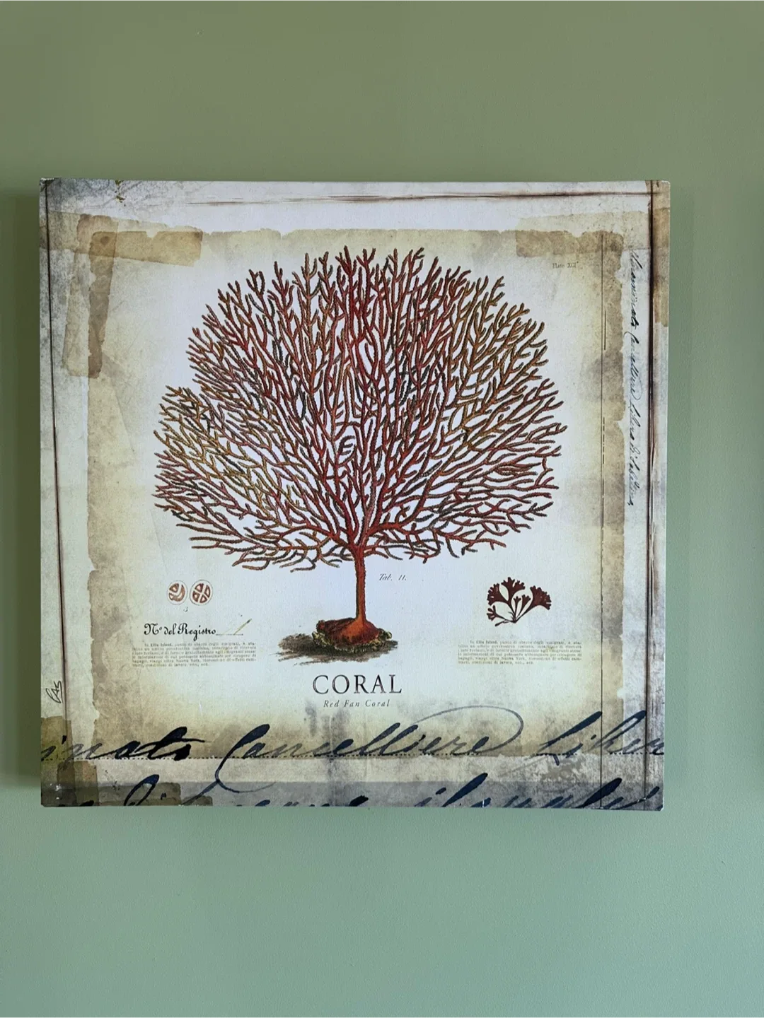 Set of 3 Coral Wall Art Prints image indicator(5)