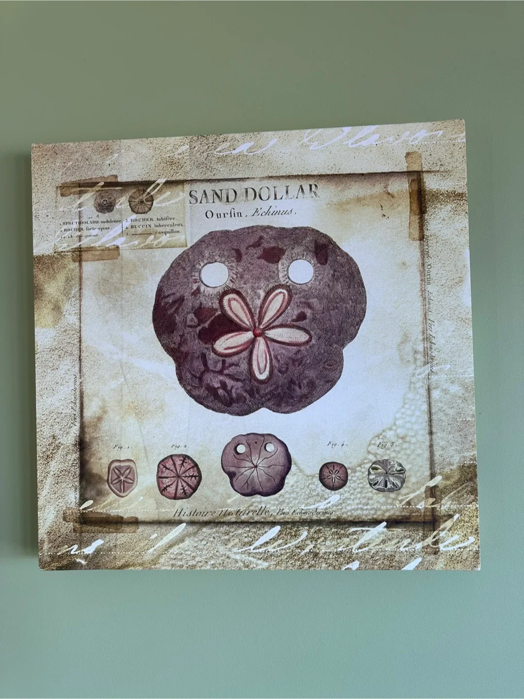 Set of 3 Coral Wall Art Prints image indicator(4)