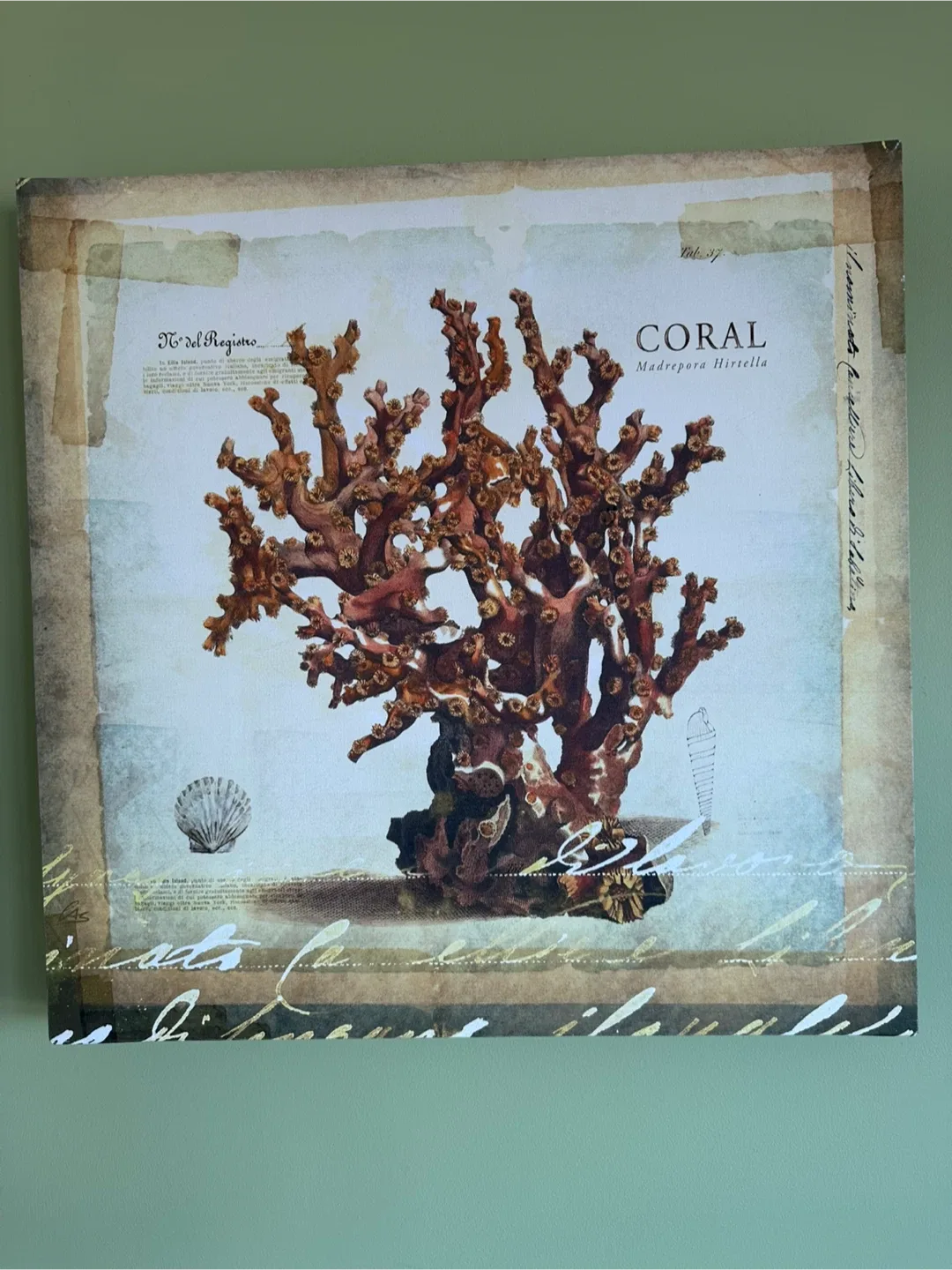 Set of 3 Coral Wall Art Prints image indicator(3)