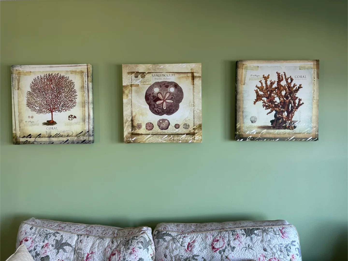Set of 3 Coral Wall Art Prints image indicator(2)