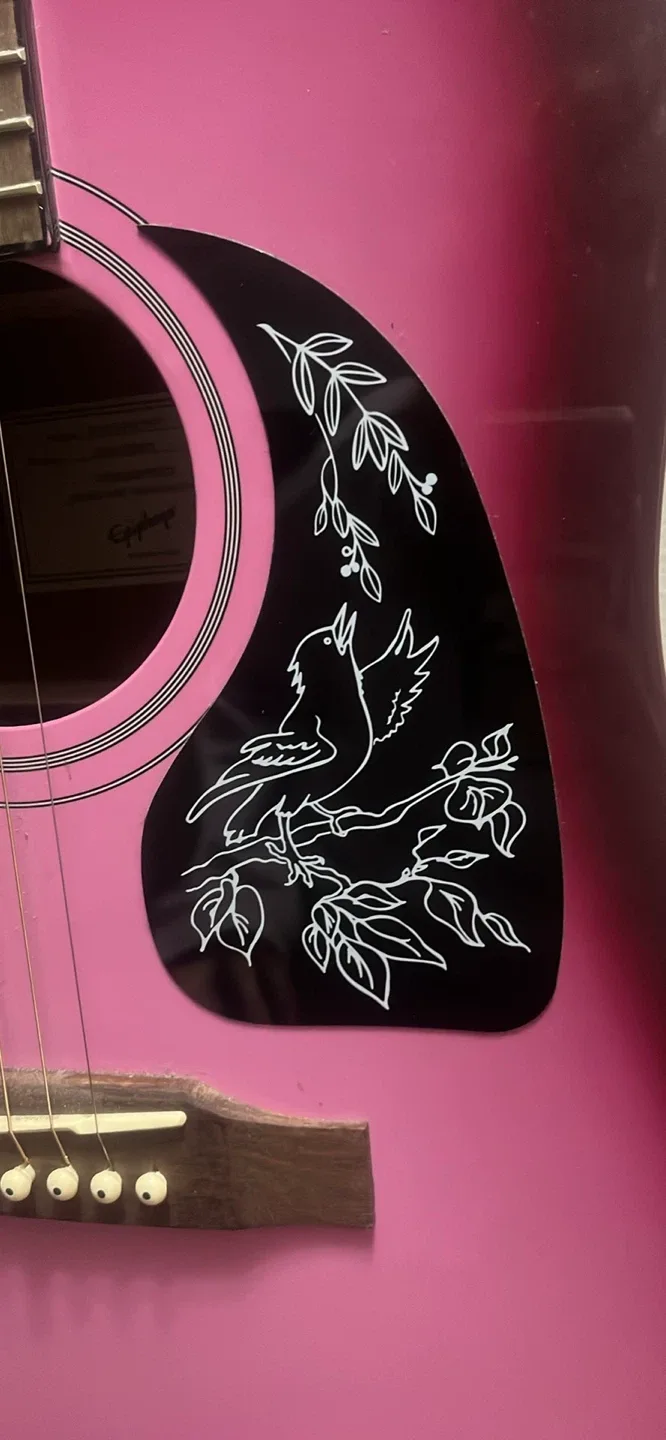 Epiphone Acoustic Guitar - Pink image indicator(2)