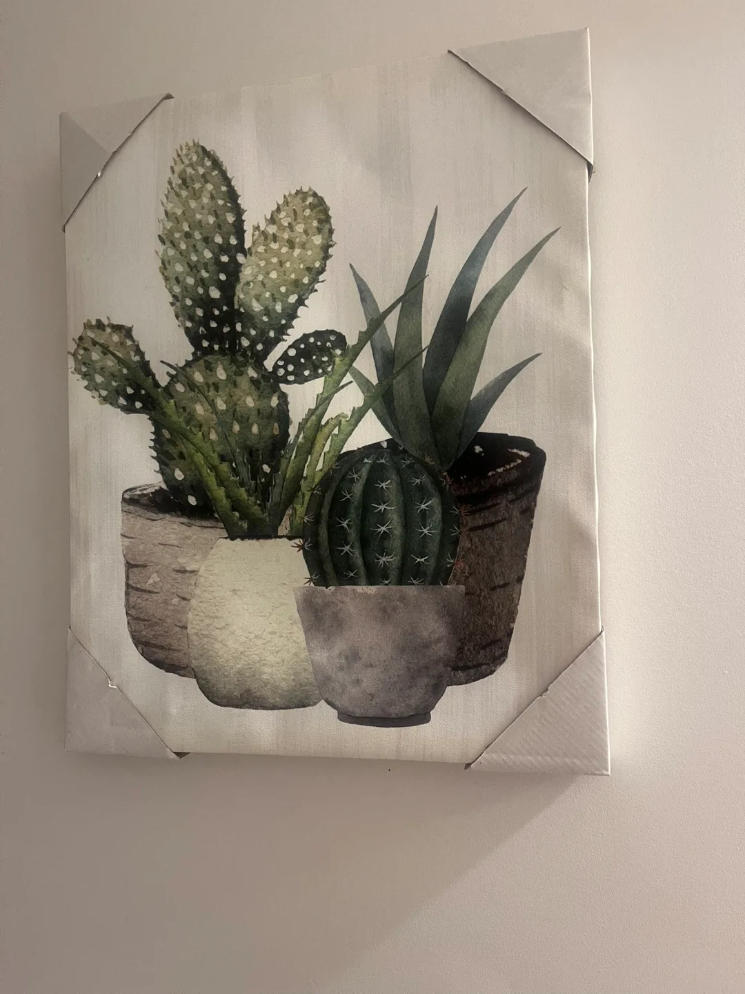 Cactus Plant Canvas Wall Art