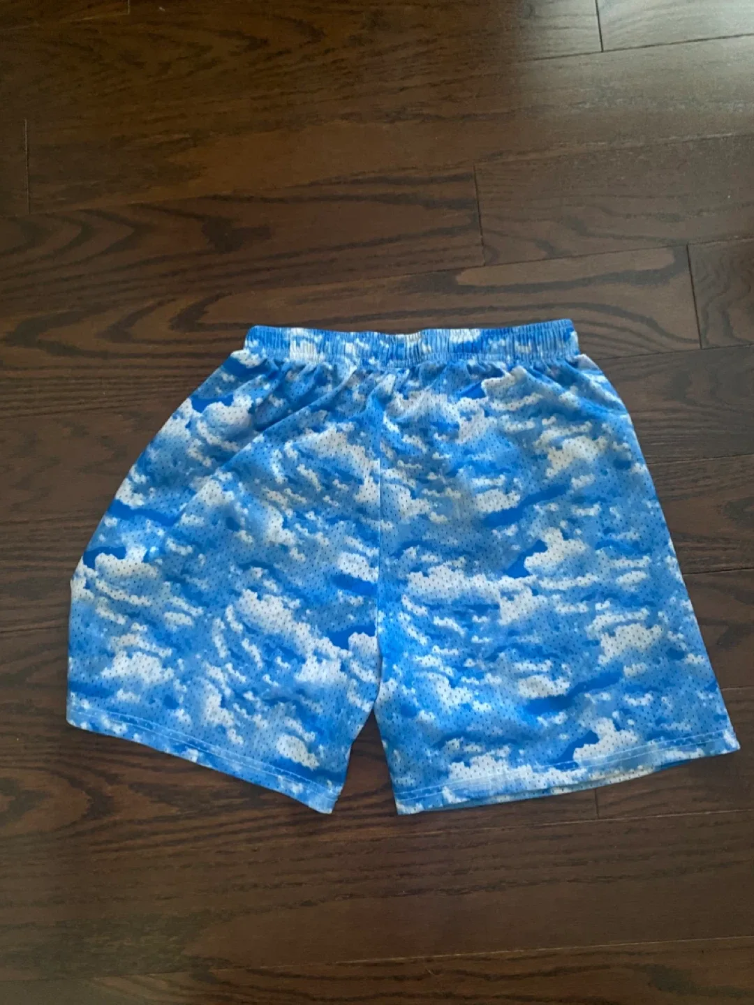 Eric Emanuel EE Basic Shorts Clouds - Size M image indicator(3)