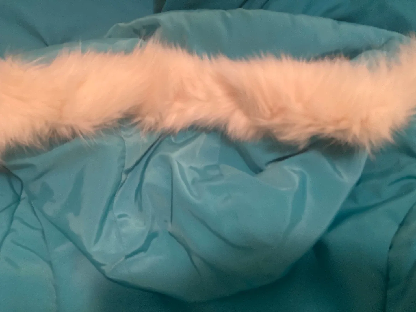 Jacket from Paris. Michel Klein Paris Puffer Jacket image indicator(4)