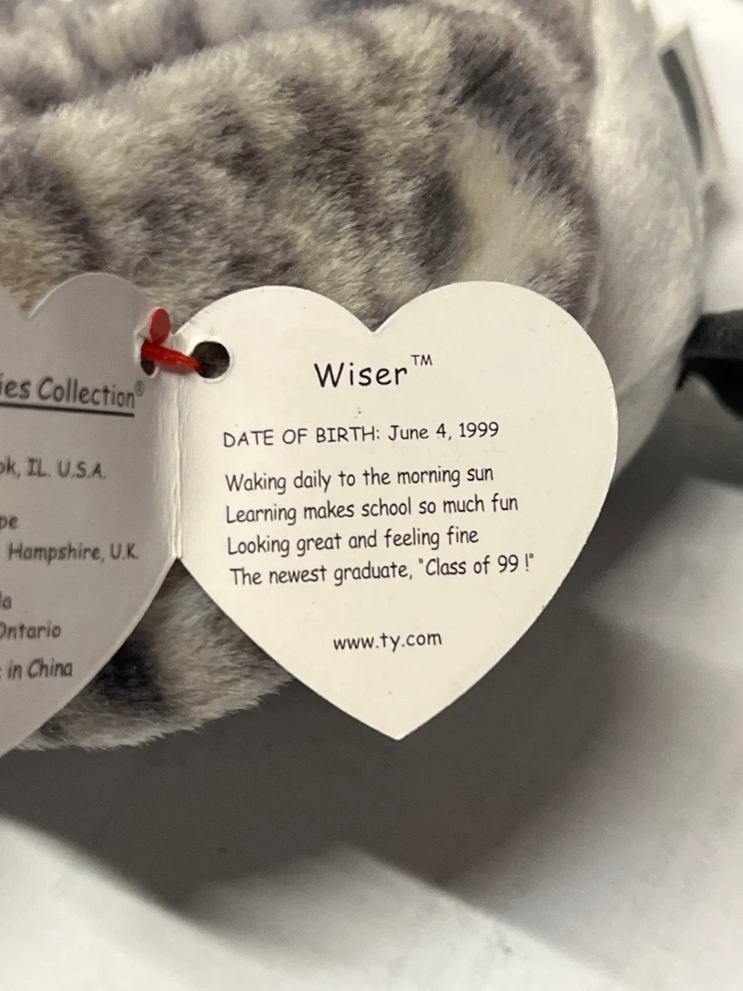 Ty Beanie Baby - Wiser the Owl image indicator(2)