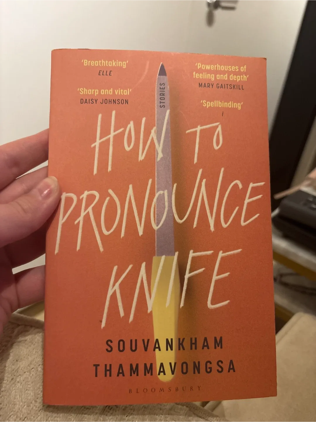 How to Pronounce Knife by Souvankham Thammavongsa