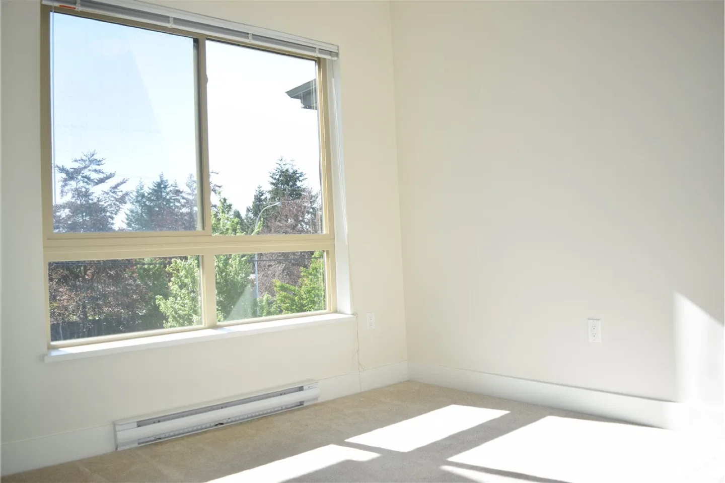 2 beds 2 baths apartment - Dec 1st image indicator(6)