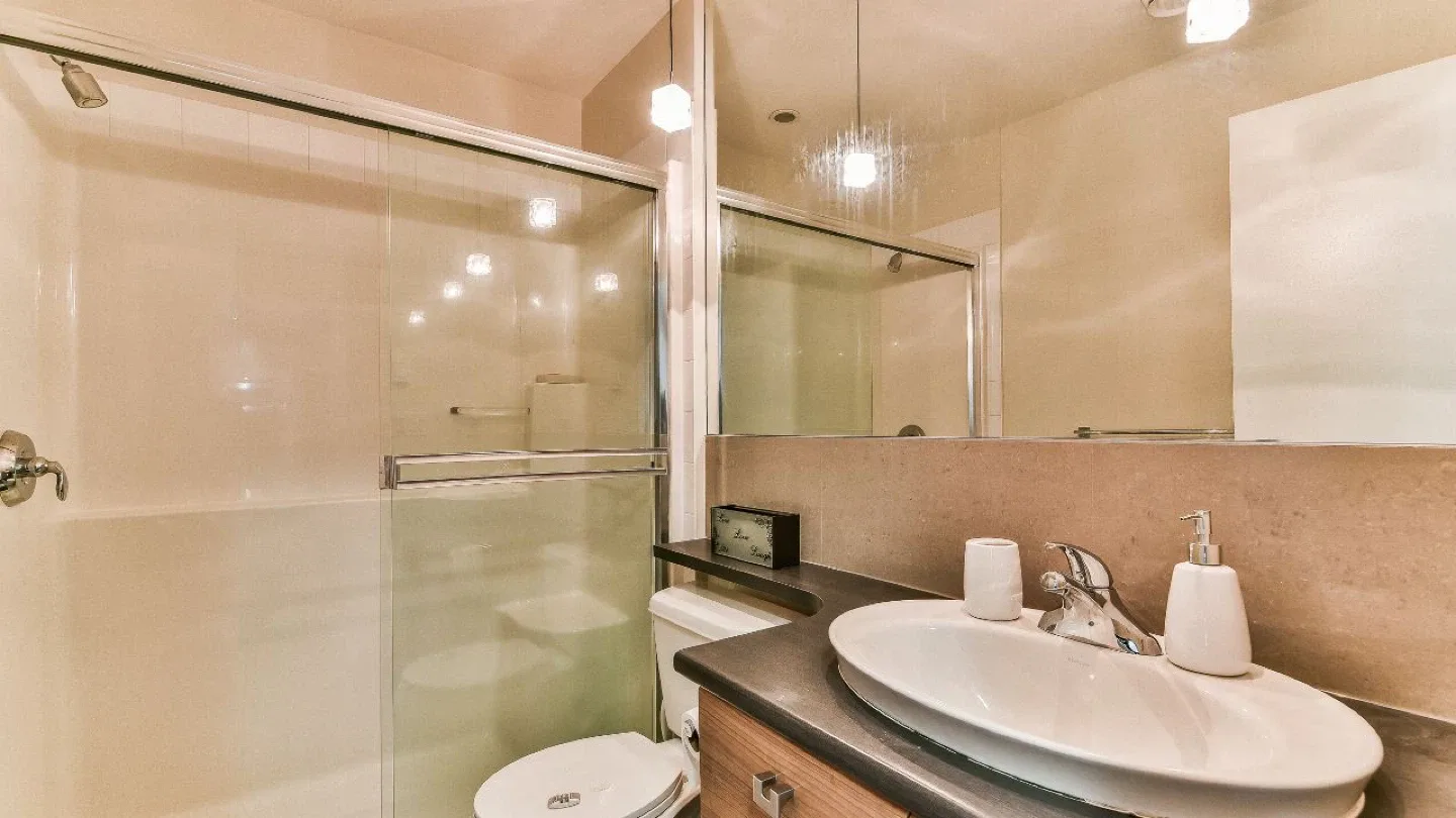 2 beds 2 baths apartment - Dec 1st image indicator(8)