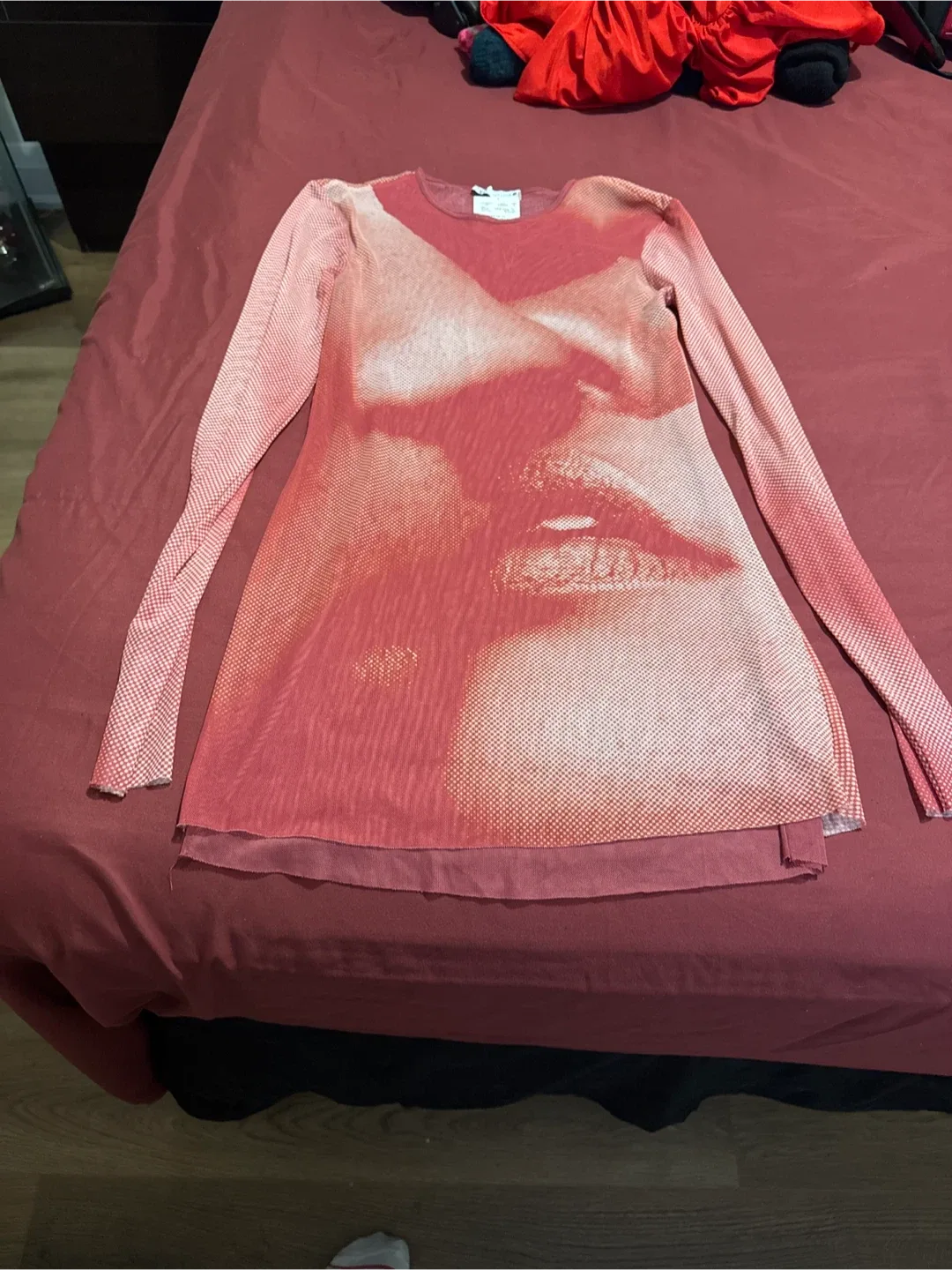 Zara Mesh Long Sleeve Dress - Size S image indicator(3)