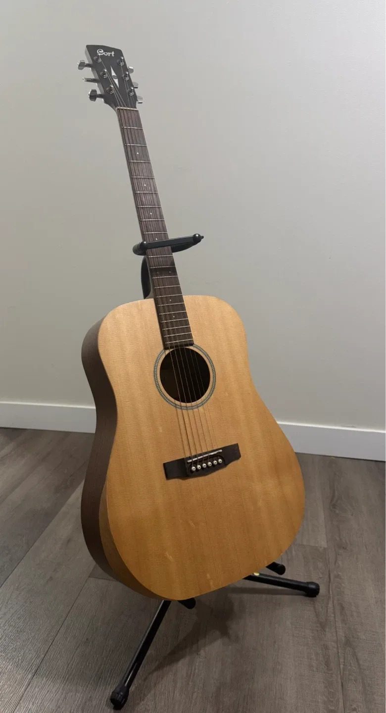Cort Acoustic Guitar