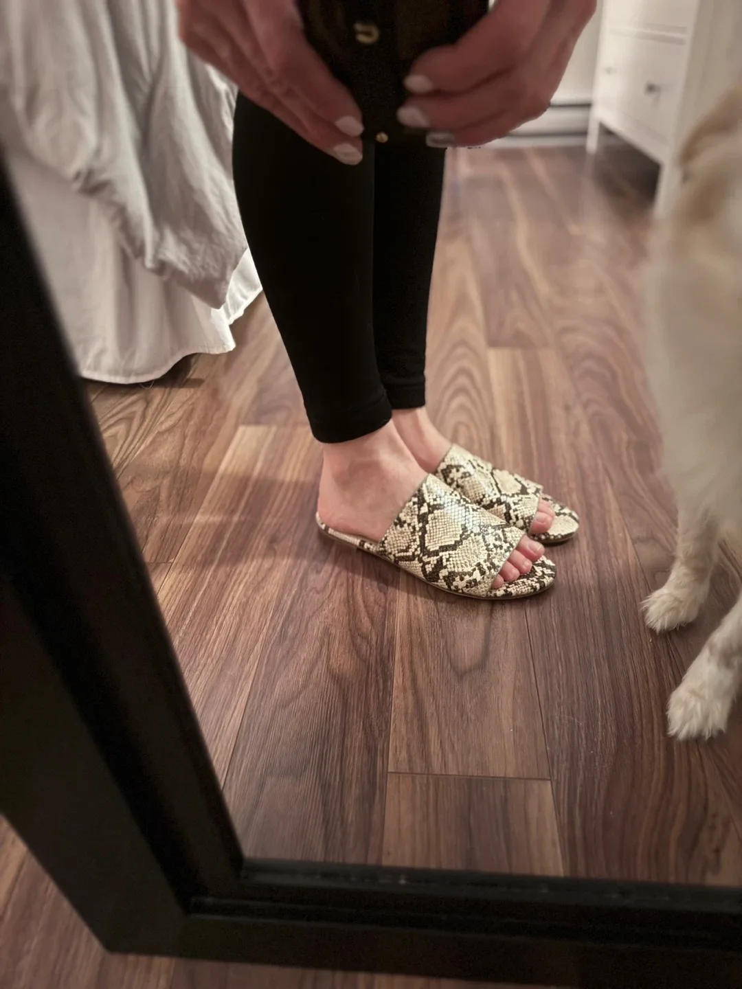 ALDO Snakeskin Print Slides - Size 8 image indicator(4)