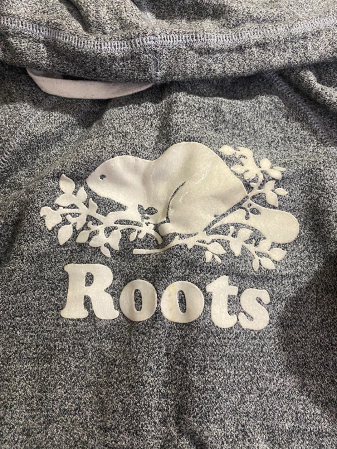 Roots Grey Hoodie - Size XS - photo 2