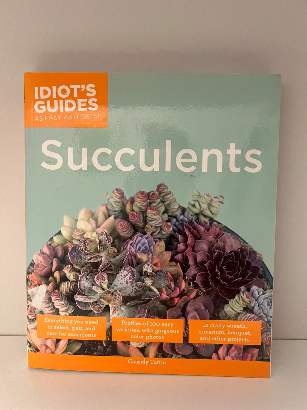 Succulents - Idiot's Guides Book