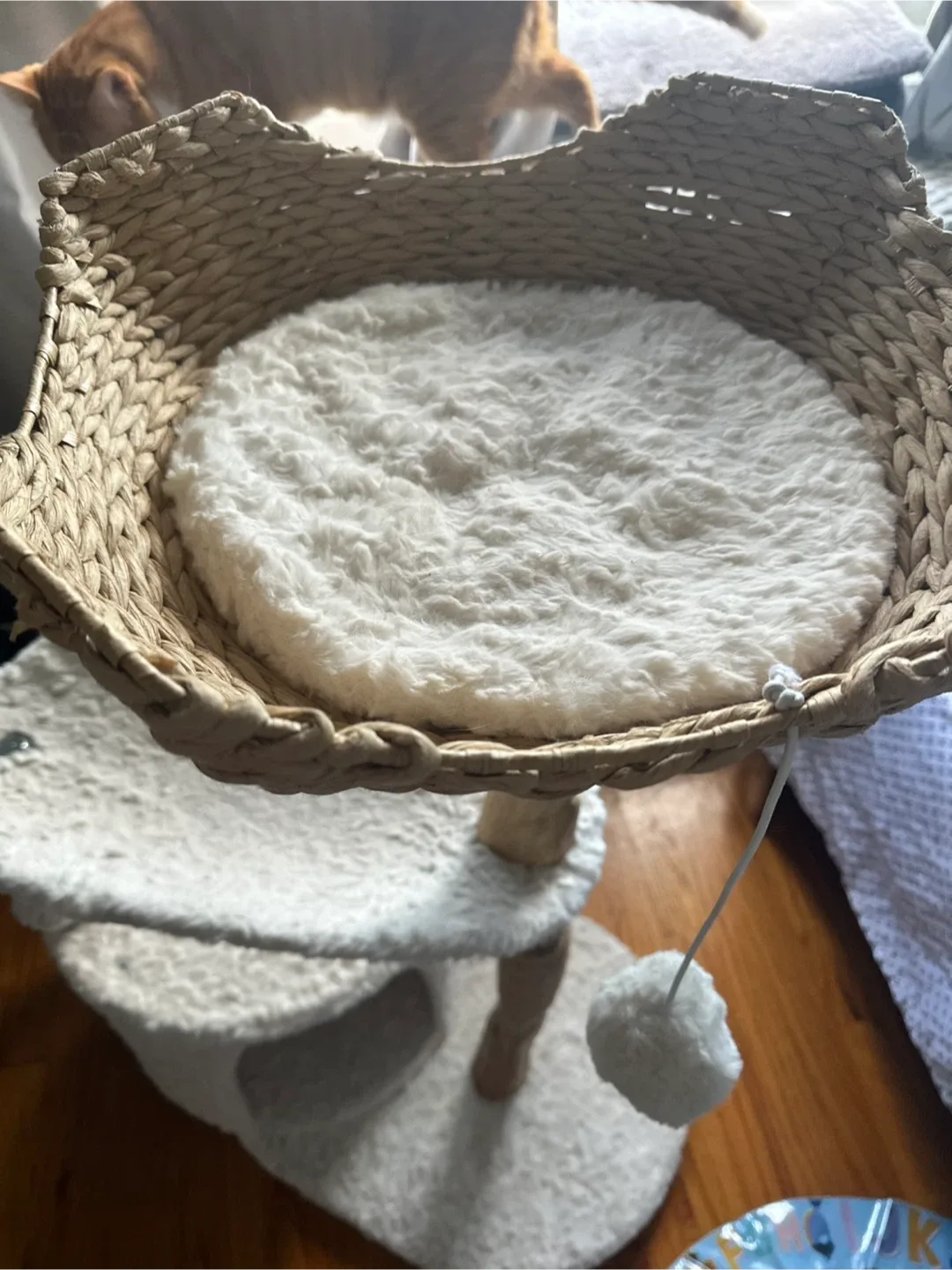 Cat Tower image indicator(3)