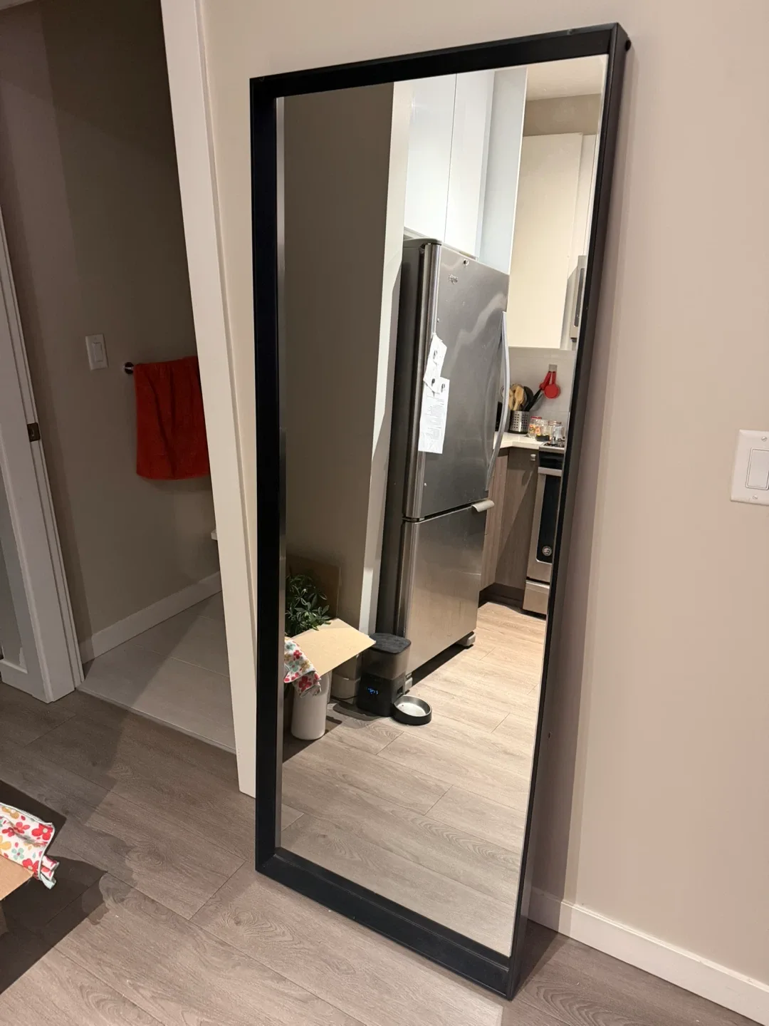 Full Length Black Framed Mirror