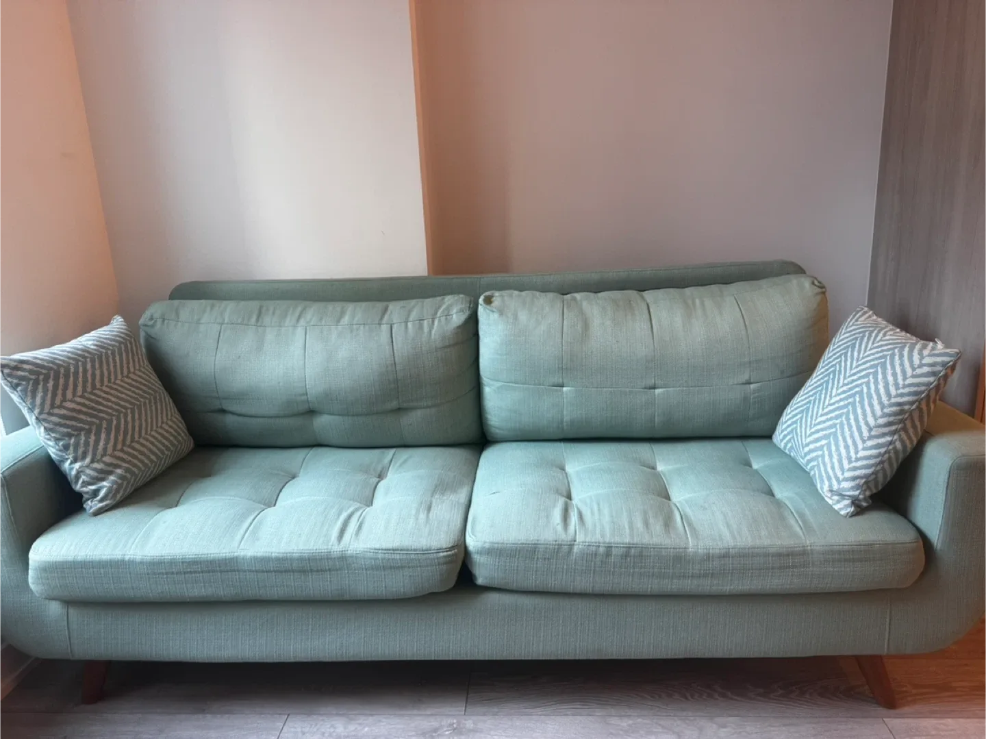 Light Green Sofa with Cushions