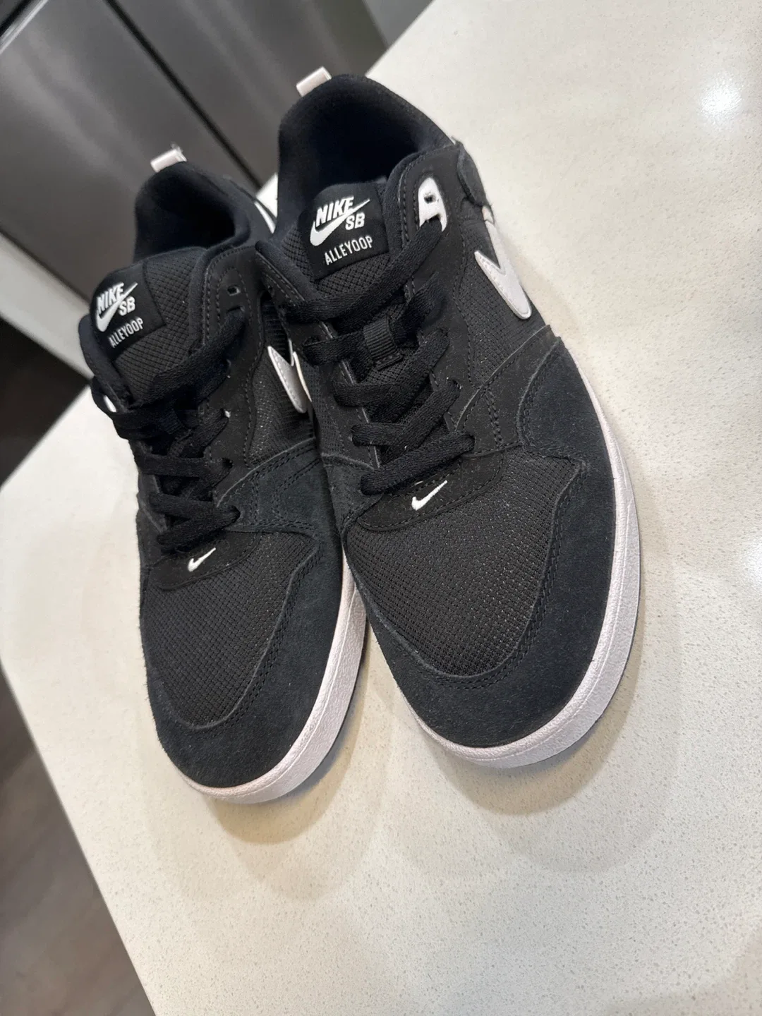 Nike SB Alleyoop Black/White - Size 10.5