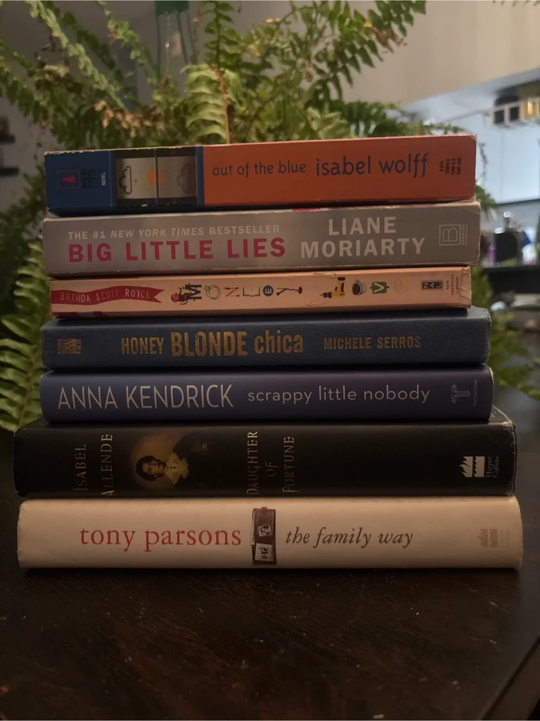 Mixed Book Lot: Novels & Biography