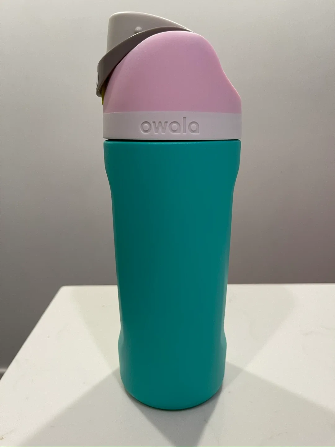 Owala FreeSip Stainless Steel Water Bottle 16oz image indicator(9)