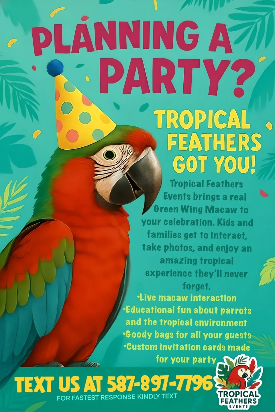 Bring a Real Macaw to Your Event / Party image indicator(2)