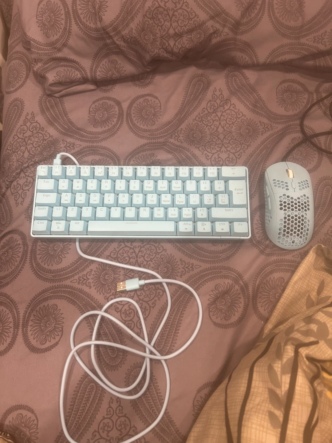 Glorious Model O Mouse & 60% Keyboard