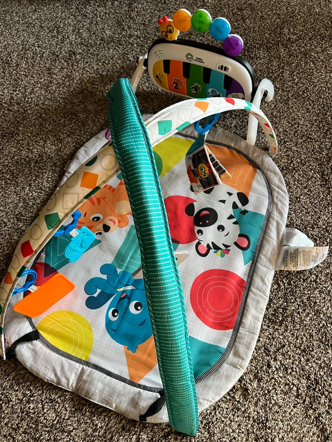 Baby Einstein Play Gym