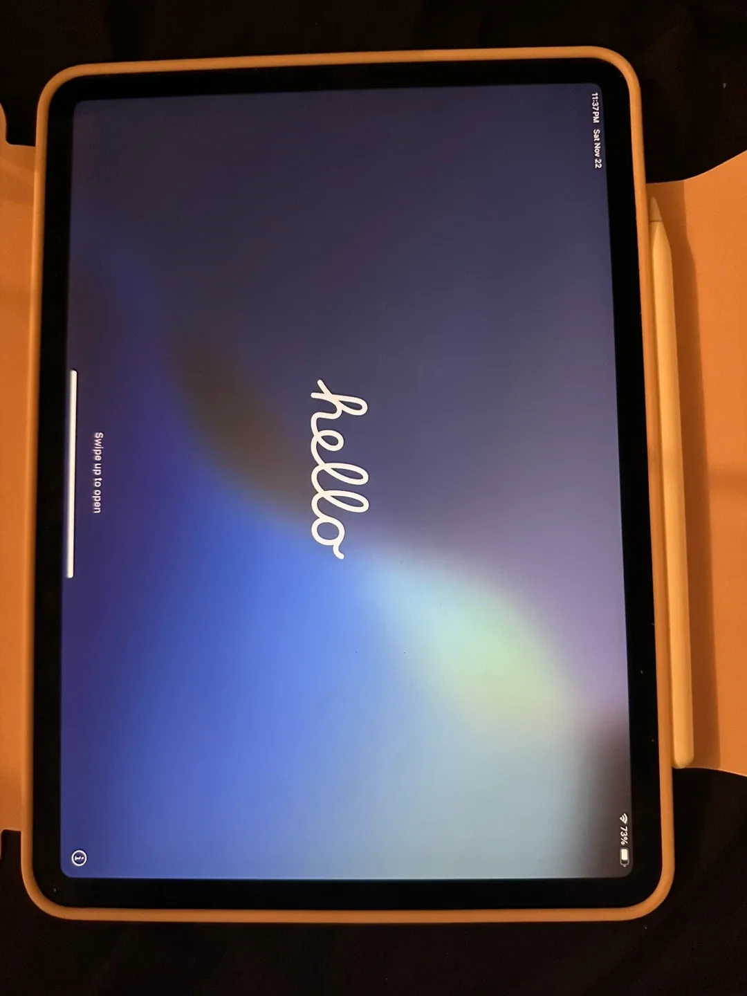 Apple iPad pro 11 inches 2nd gen & Apple Pencil 2nd gen