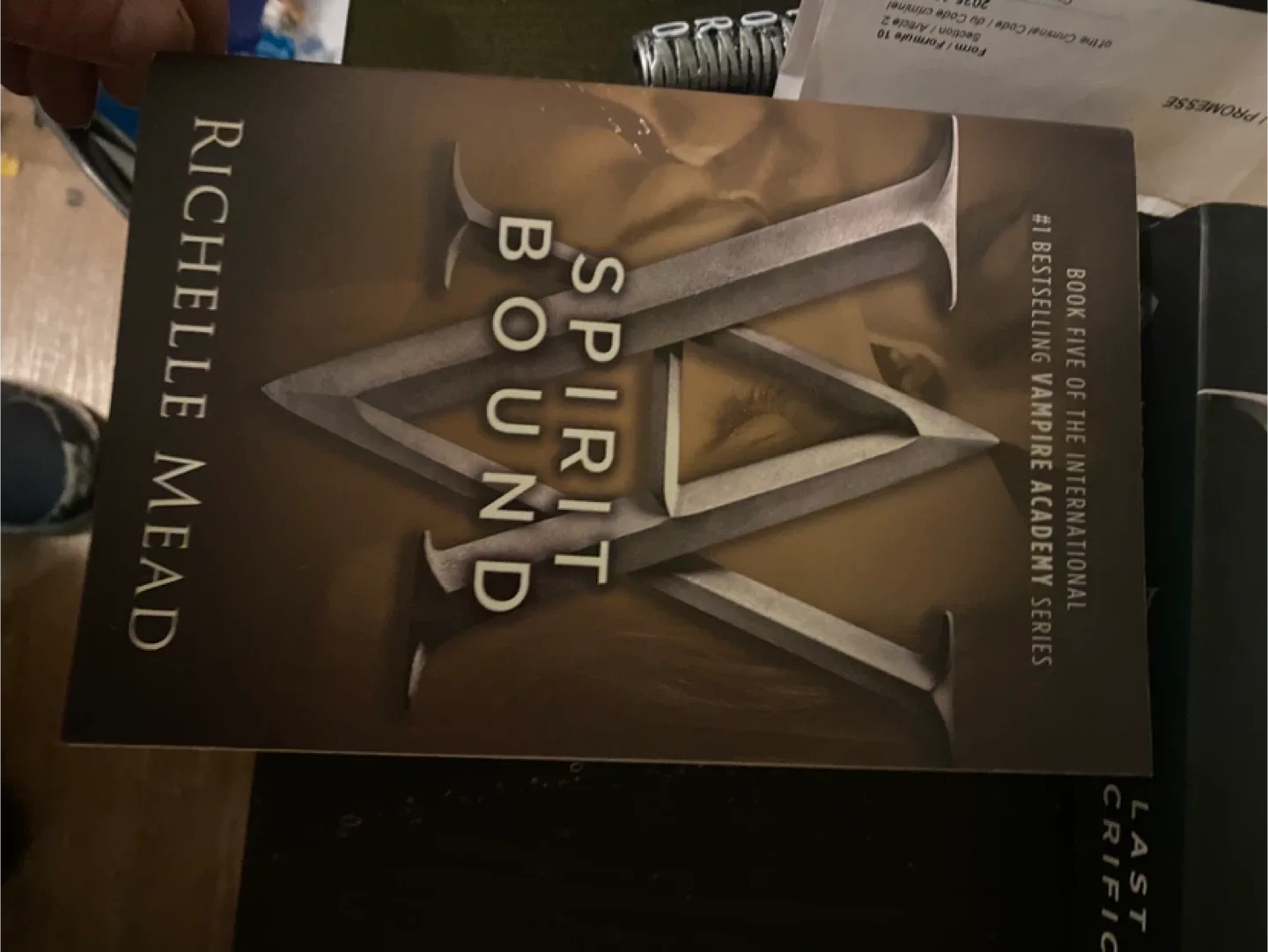 Vampire Academy Series Books by Richelle Mead image indicator(3)