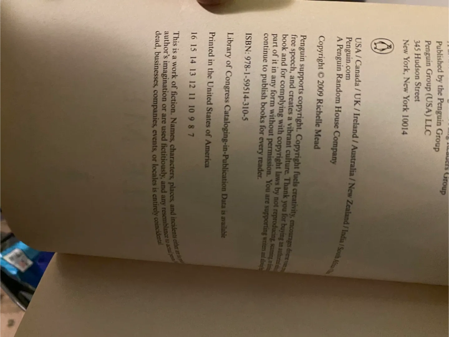 Vampire Academy Series Books by Richelle Mead image indicator(2)