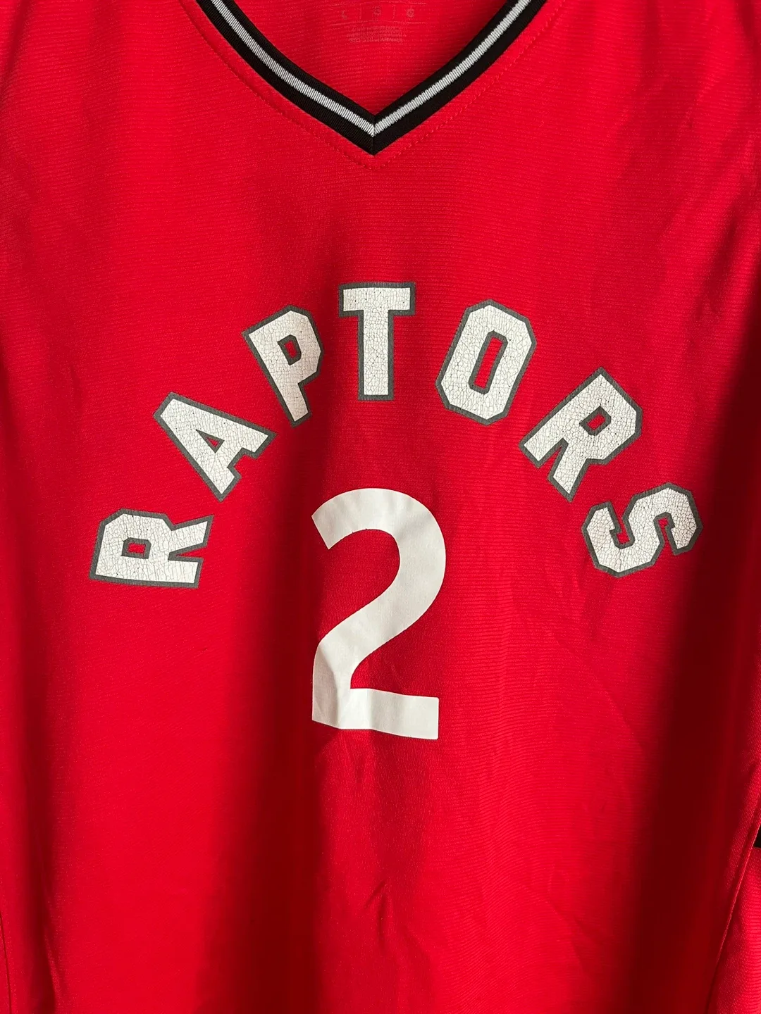 Toronto Raptors Leonard #2 Jersey - Size Large image indicator(2)