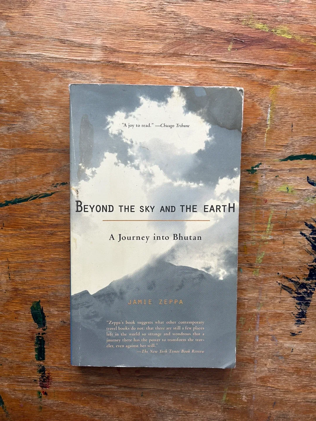 Beyond the Sky and the Earth by Jamie Zeppa