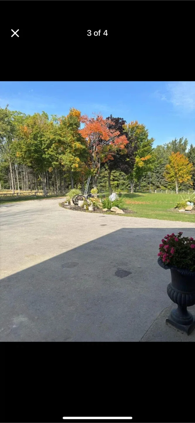 Parking In Caledon image indicator(3)