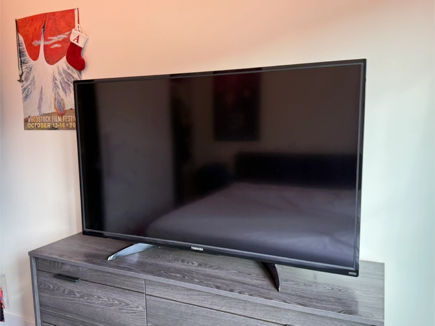 Toshiba Amazon Fire TV - photo 2