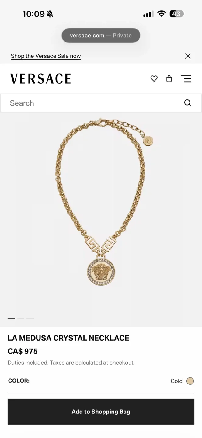 Versace Gold Chain Necklace image indicator(2)