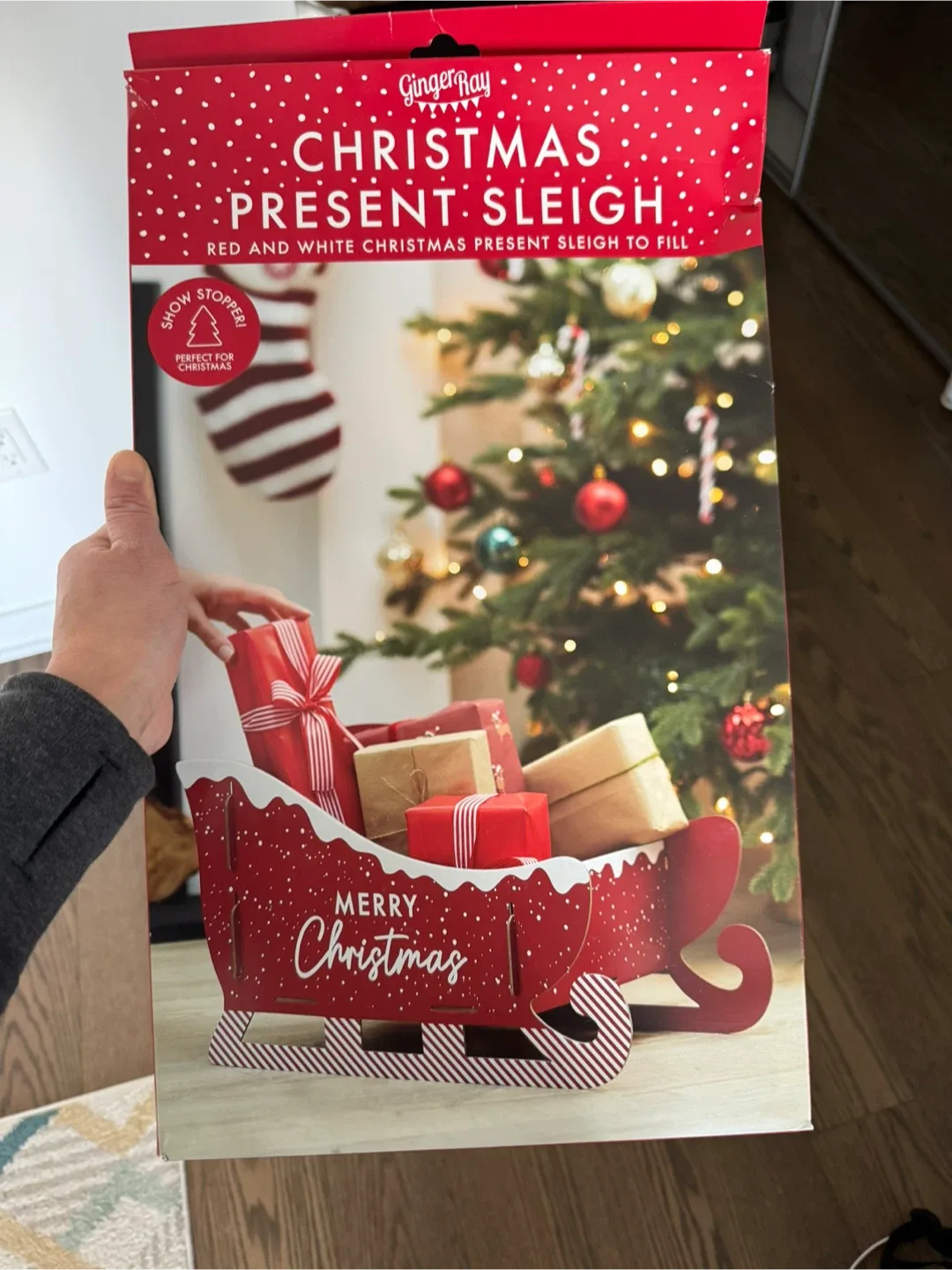 Christmas Present Sleigh
