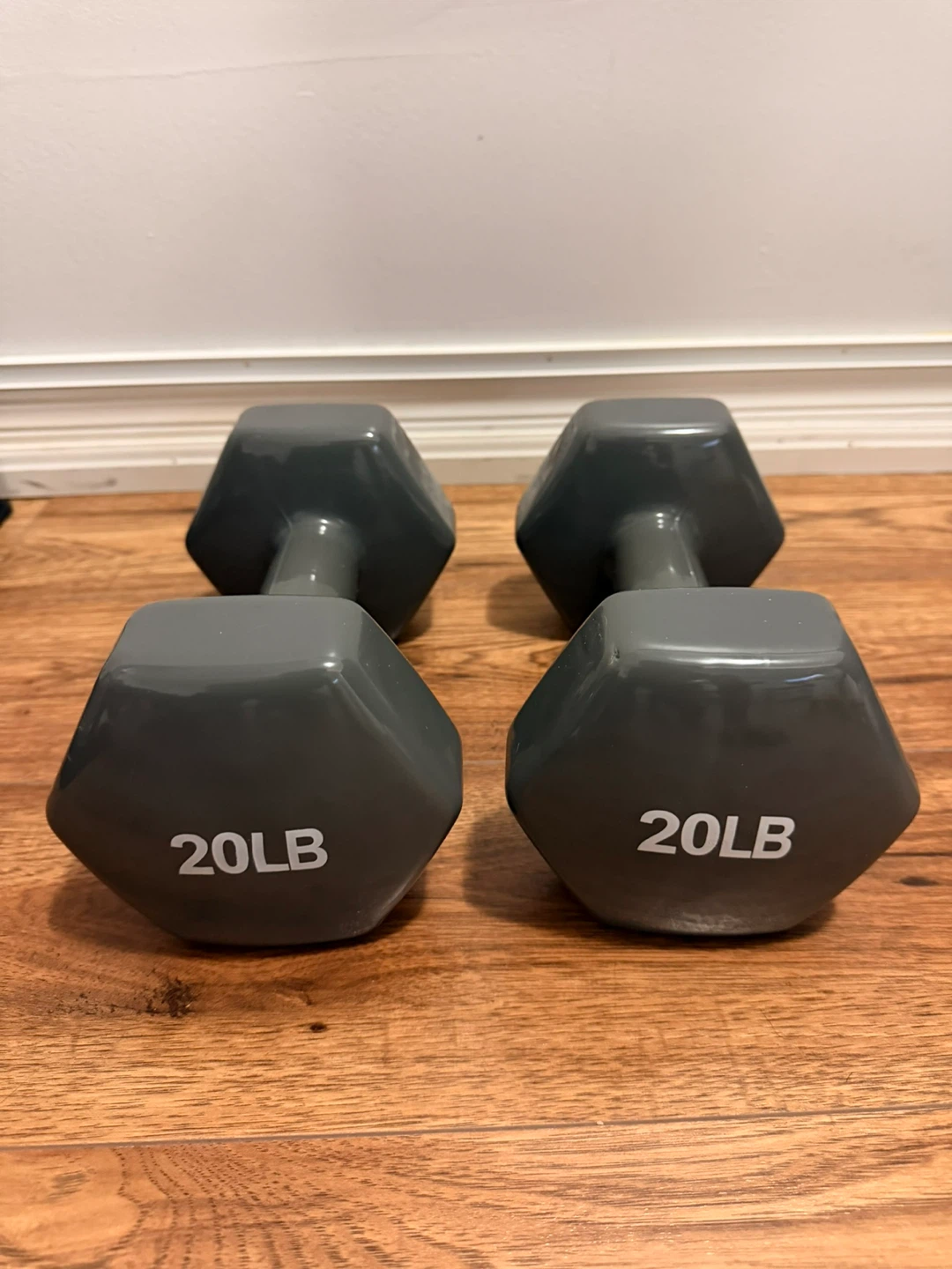 Pair of 20LB Dumbbells