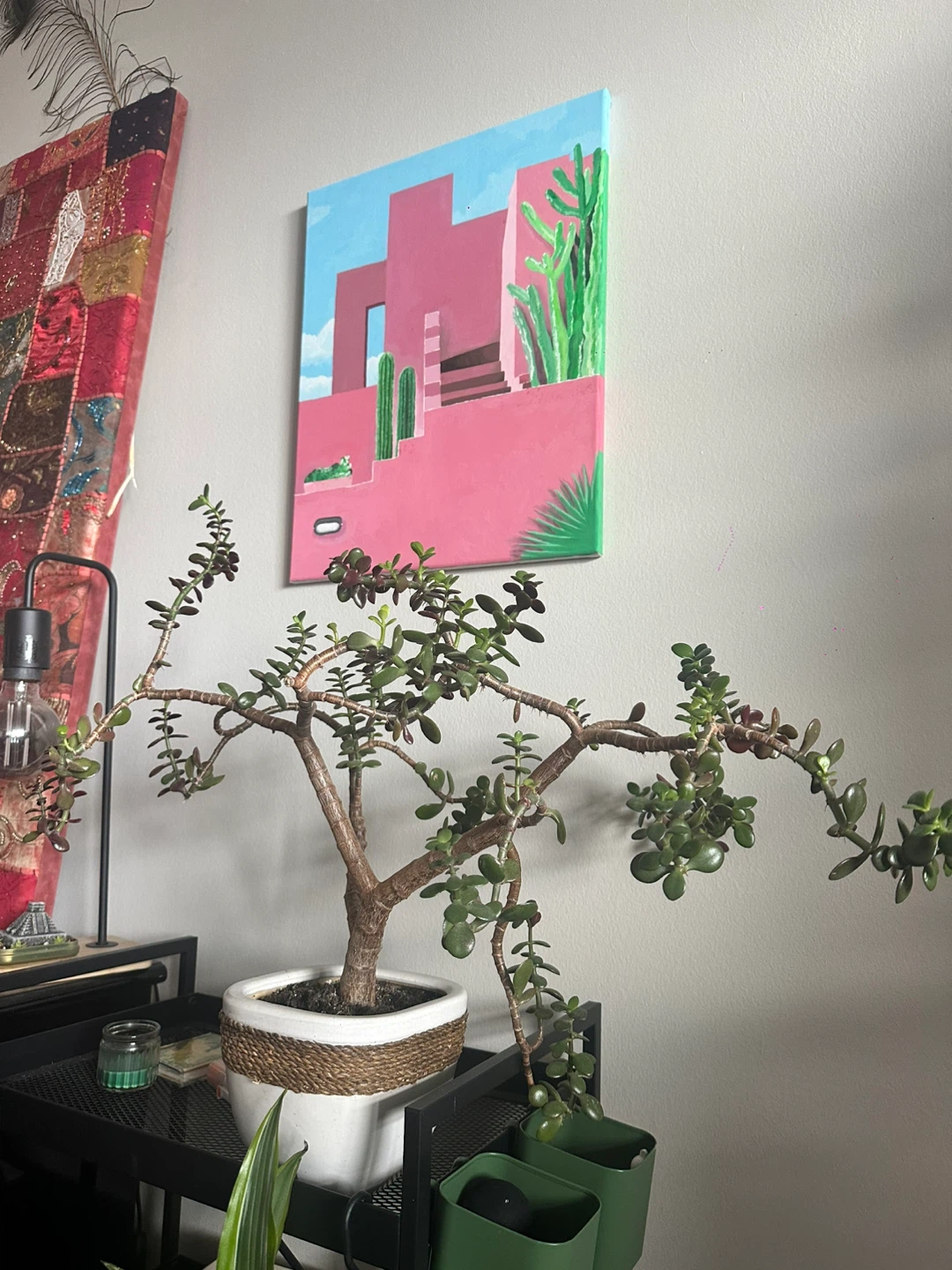 7 years old Jade Bonsai Tree in White Pot - photo 2