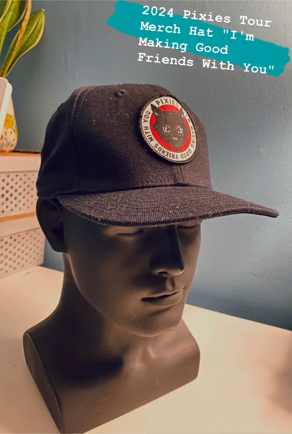 Pixies 2024 Tour Merch Hat - "I'm Making Good Friends"