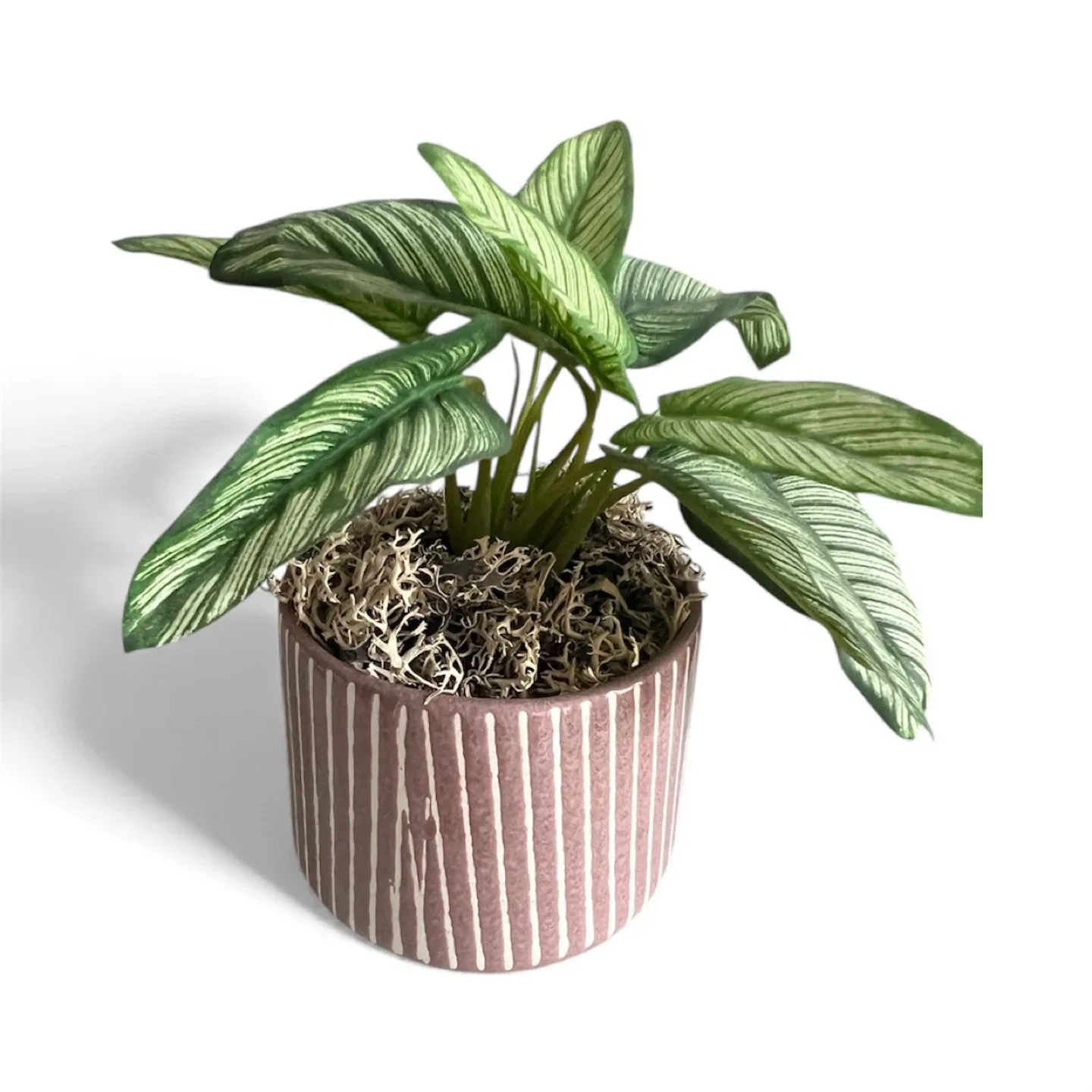 Potted Artificial Calathea Plant