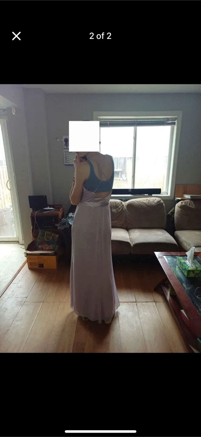 Bridesmaids dress image indicator(2)