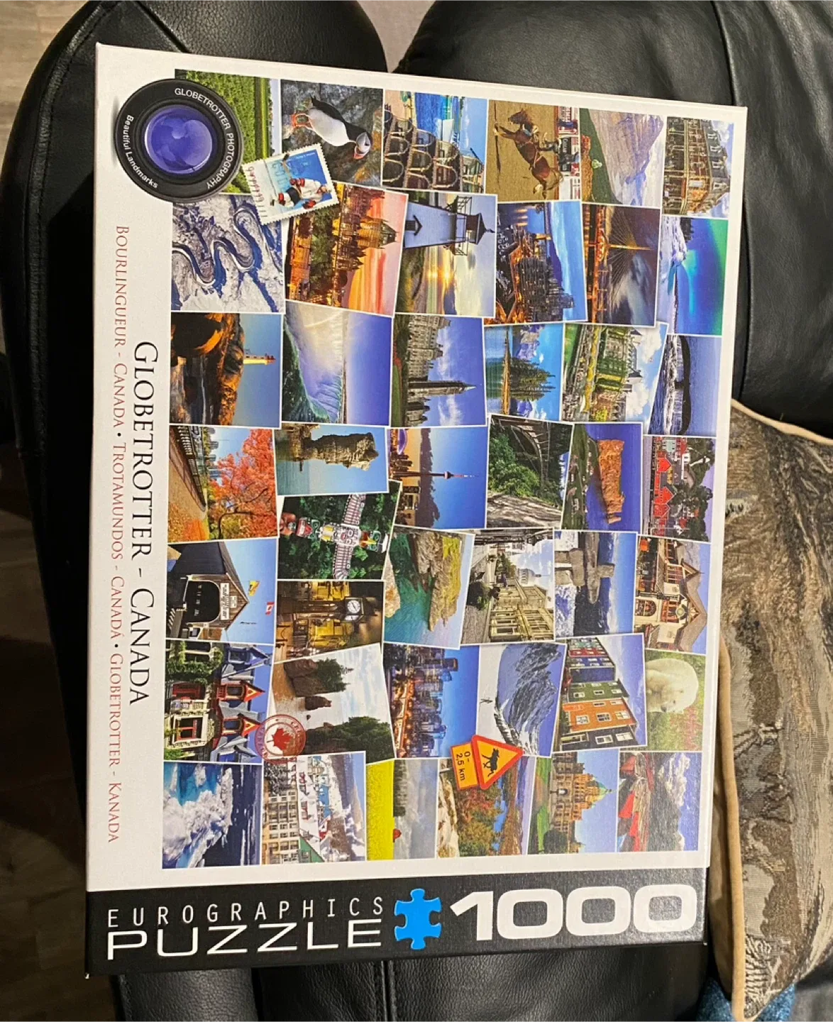 Lot of 8 Puzzles: Dowdle, Eurographics, Star Wars & More image indicator(7)