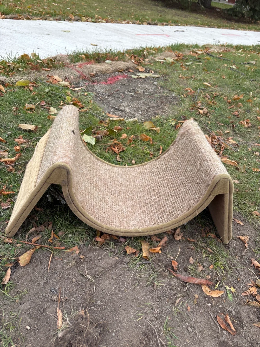 Cat Scratch Lounge Bed