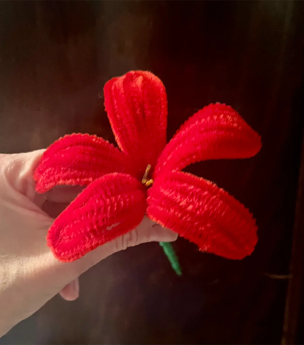 Handmade Pipe Cleaner Flowers