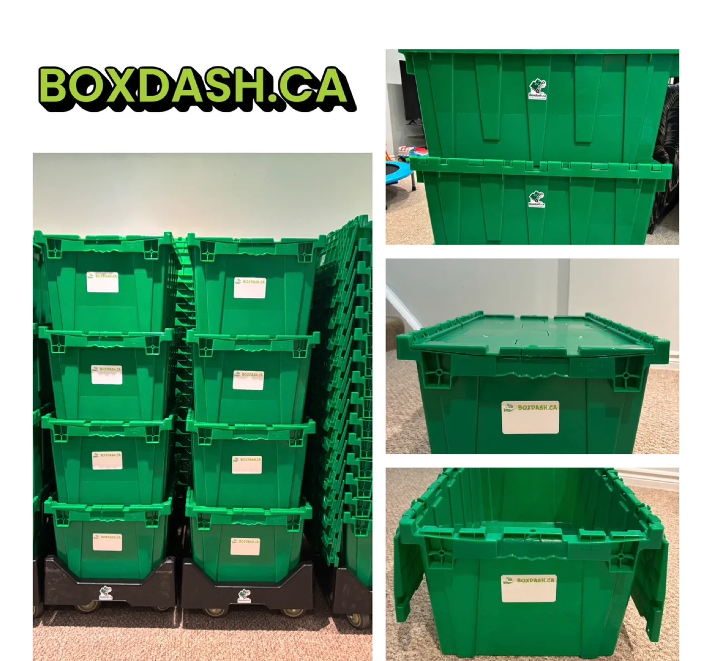 Boxdash Green Moving Boxes