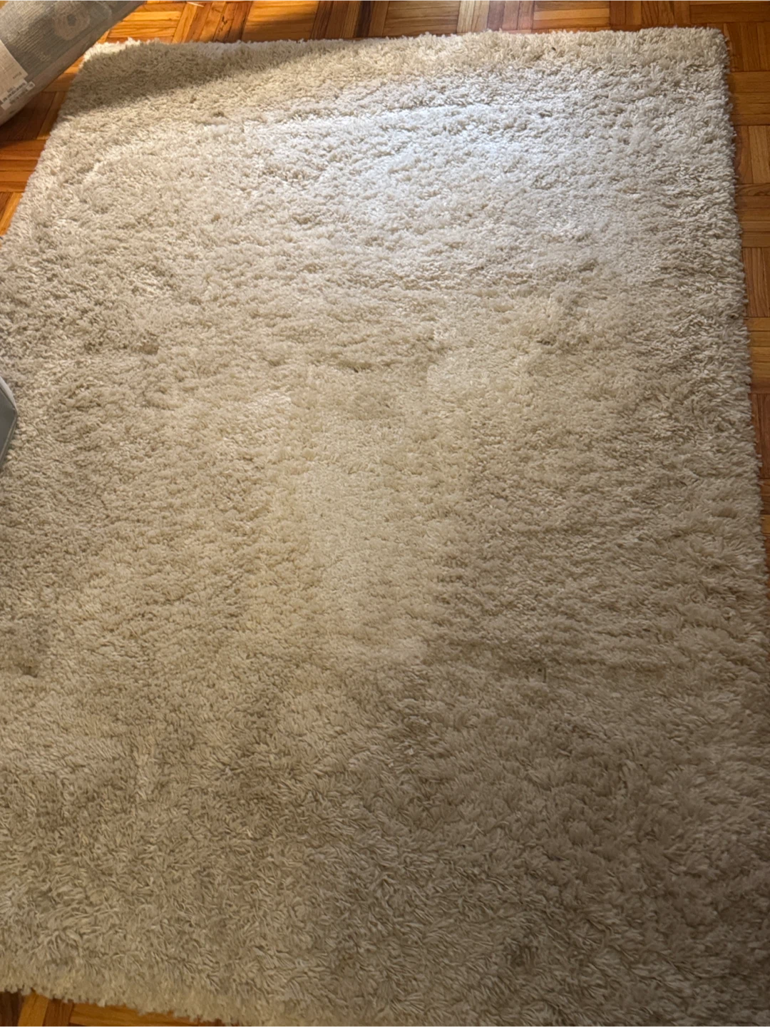 White shag rug 7.5x5.3